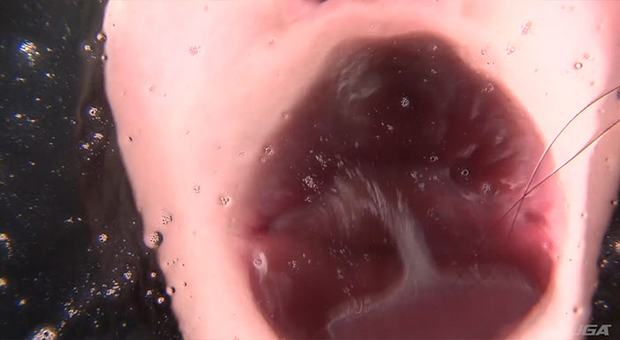 アクリル板舐め